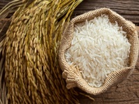 برنج وارداتی تایلندی